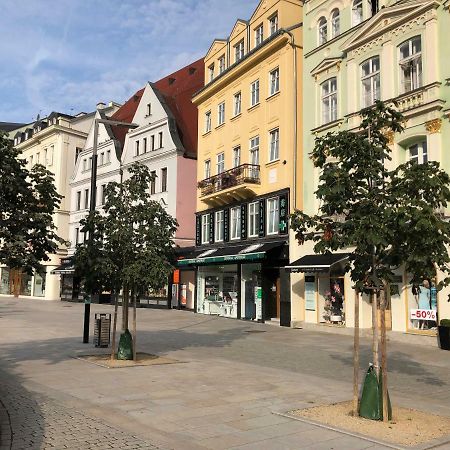 Apartman Orchidej U Vridla Karlsbad Exteriör bild