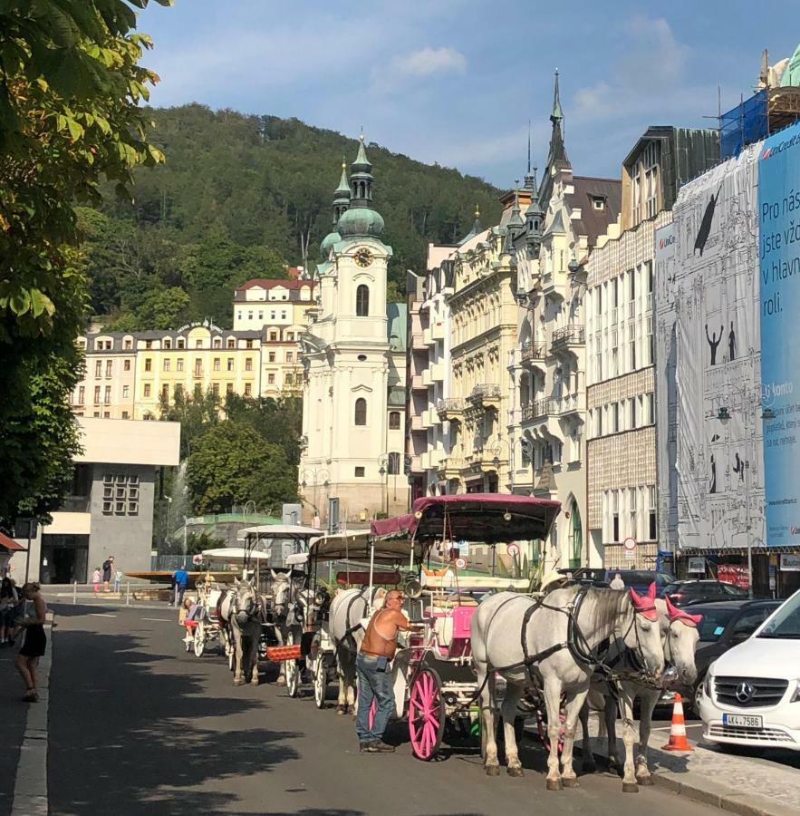 Apartman Orchidej U Vridla Karlsbad Exteriör bild